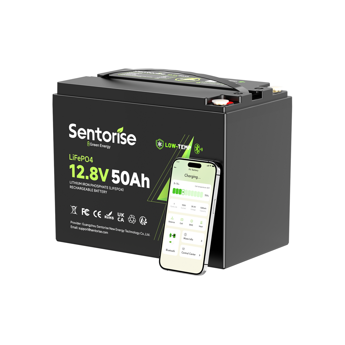 12V 50Ah LiFePO4-Batterie mit Bluetooth Hauptbild